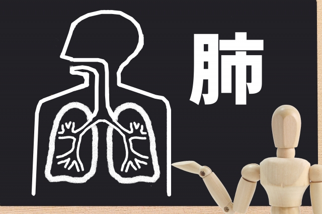 肺がん検診読影